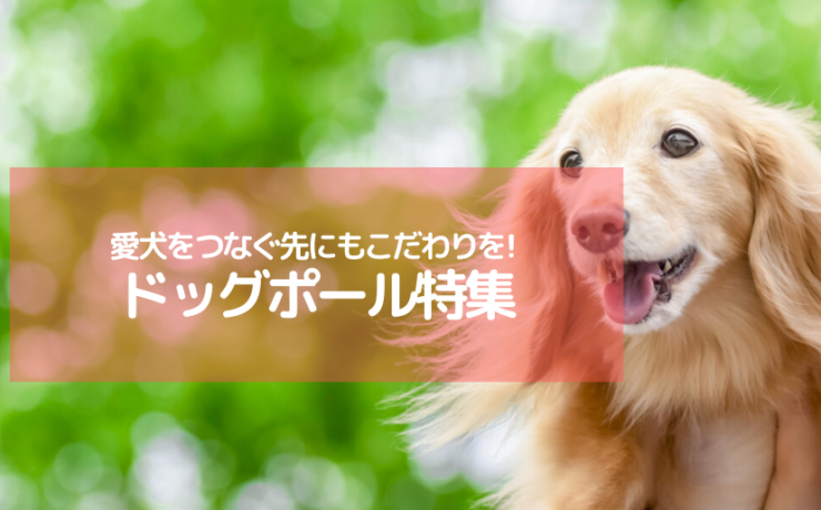 犬に関する記事一覧 郵便ポスト 宅配ボックスの激安販売 エクストリム 犬に関する記事一覧 郵便ポスト 宅配ボックスの激安販売 エクストリム