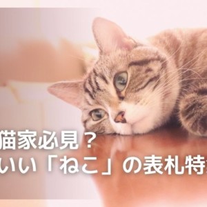 ねこ表札特集