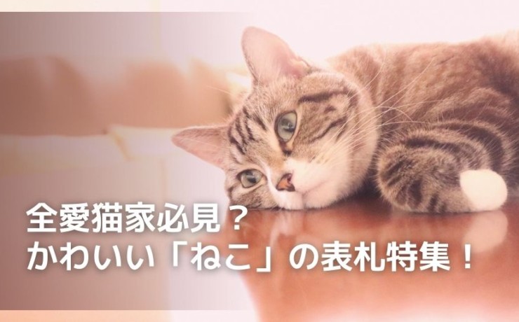 ねこ表札特集