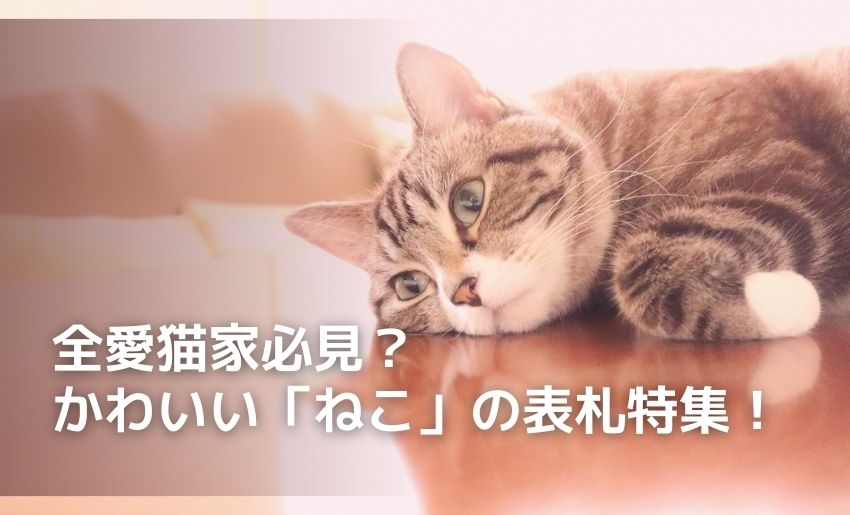 ねこ表札特集