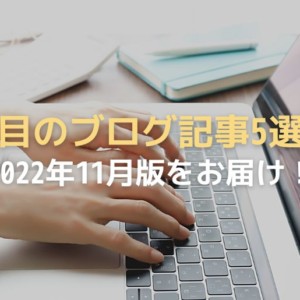 2022年11月の注目ブログ記事