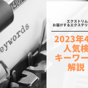 2023年4月のアクセス状況・人気検索キーワード