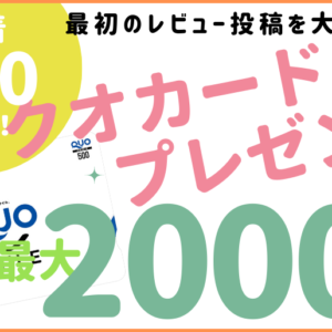 230529レビュー1キャンペーン