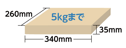 エクスポストFS 投函サイズ