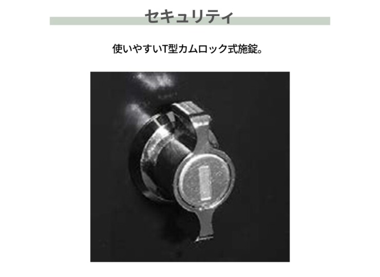オンリーワンクラブ 壁掛けポスト ソニックS セキュリティ