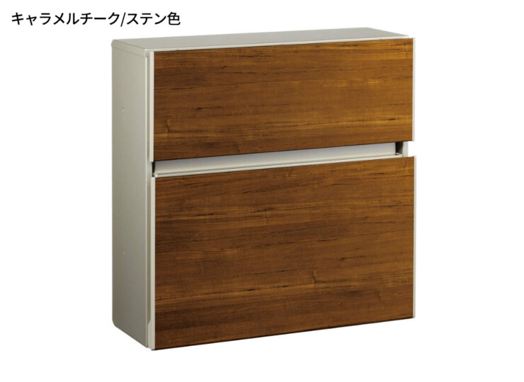 YKKAP 壁掛けポスト エクステリアポストT10型 AME-TY10 木調色 キャラメルチーク/ステン色