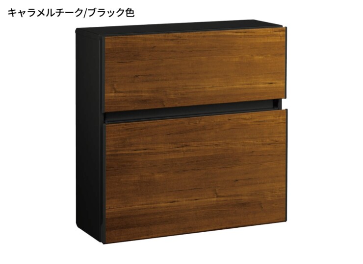 YKKAP 壁掛けポスト エクステリアポストT10型 AME-TY10 木調色 キャラメルチーク/ブラック色