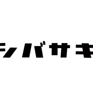 福彫 金属表札 切文字 ステンレス切文字（4文字）KT-67 アイキャッチ