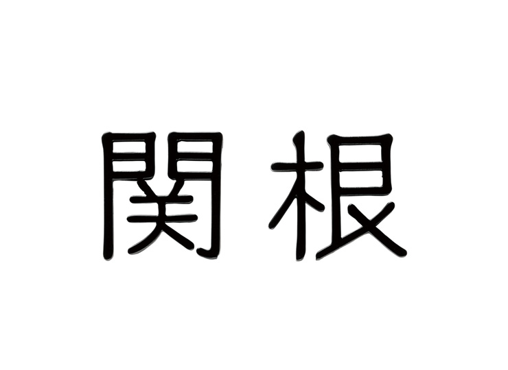 福彫】金属表札 タイニーサイン ステンレス切文字（2文字） KTR-2 郵便ポスト・宅配ボックスの激安販売 エクストリム