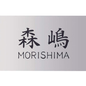 四国化成建材 機能門柱対応表札 マイ門柱2型・3型・4型用 ステンレスNPM-SU4A-HS アイキャッチ