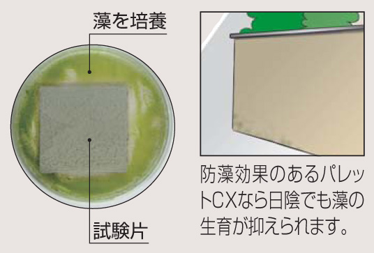 四国化成建材 外装材 パレットCX 防藻効果