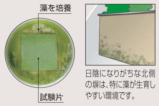 四国化成建材 外装材 パレットCX 防藻効果