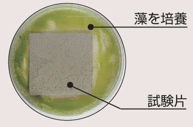 四国化成建材 パレットHG 防藻効果