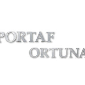 福彫 館銘板・商業サイン チタン チタン切文字館銘板 TIKZ-5 アイキャッチ