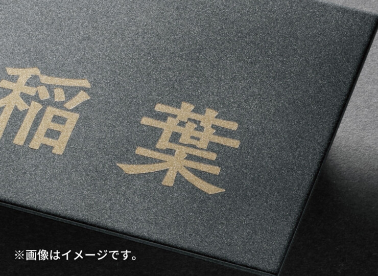 福彫 スタイルアートサイン（特殊塗装） レガシア ステンレス（ホリゾングレー）TSP-6 テクスチャー