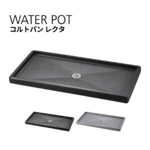 ユニソン コルトパン レクタ アイキャッチ