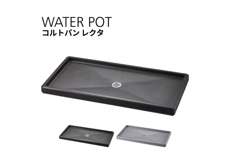 ユニソン コルトパン レクタ アイキャッチ