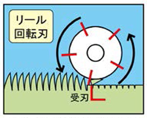 芝刈り機 ポイント