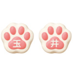 NEKO-2