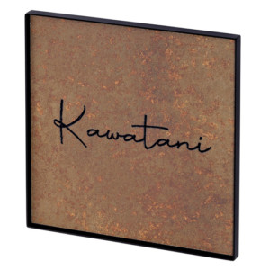 パルスTP-12_アイキャッチ